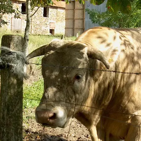 Domaine Du Bourg étape Hostal Gannay-sur-Loire